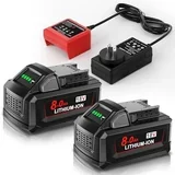 POWTREE battery with charger